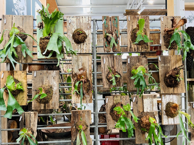 airlibrary23 梅山-空氣圖書館之這裡沒有書