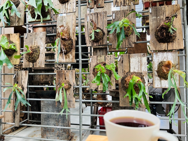 airlibrary24 梅山-空氣圖書館之這裡沒有書