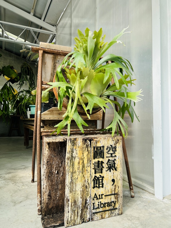 airlibrary26 梅山-空氣圖書館之這裡沒有書