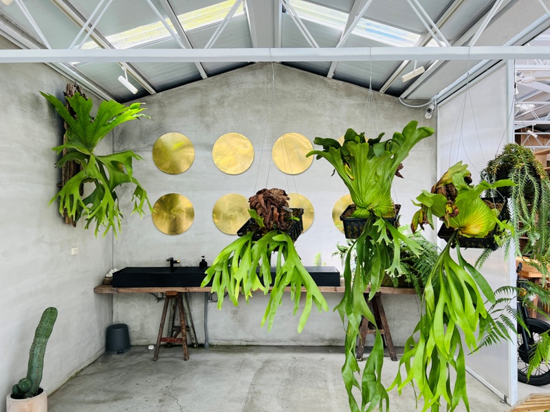 airlibrary27 梅山-空氣圖書館之這裡沒有書