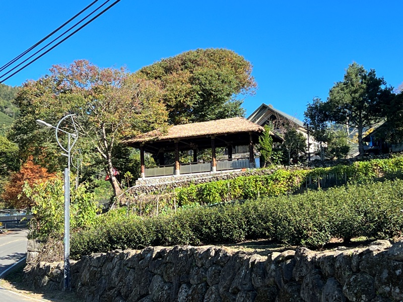 choucoffee02 阿里山-給台灣本土咖啡一個讚 阿里山咖啡王子 鄒築園