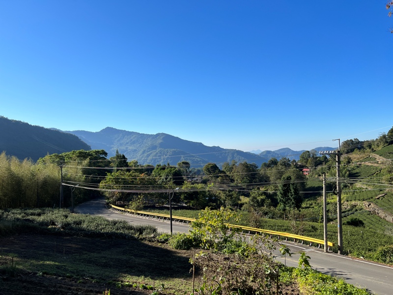 choucoffee04 阿里山-給台灣本土咖啡一個讚 阿里山咖啡王子 鄒築園