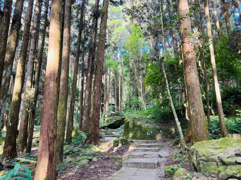 dadong4804 阿里山-大凍山 外掛頂湖步道 登頂展望佳