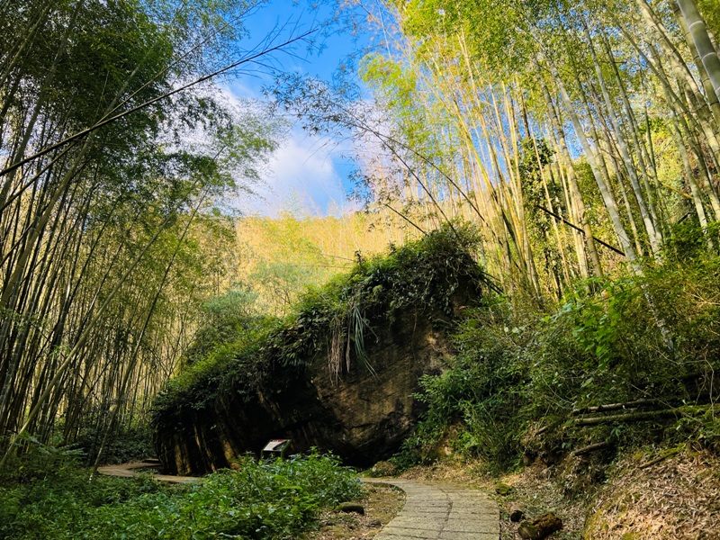 dadong4808 阿里山-大凍山 外掛頂湖步道 登頂展望佳