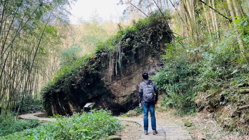 dadong4809 阿里山-大凍山 外掛頂湖步道 登頂展望佳