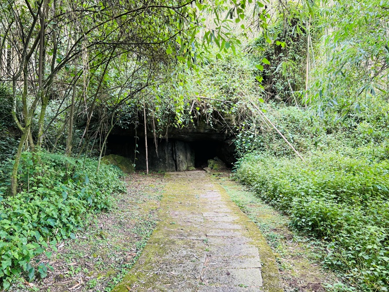 dadong4811 阿里山-大凍山 外掛頂湖步道 登頂展望佳