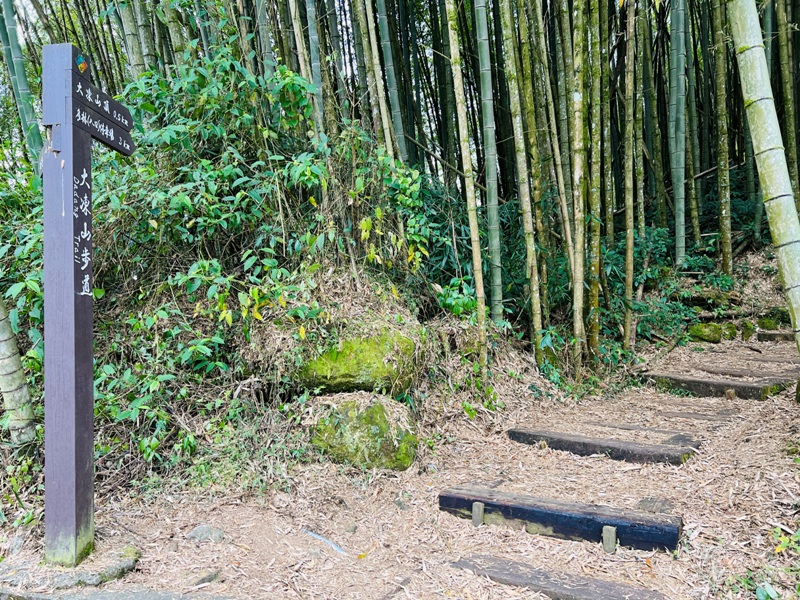 dadong4819 阿里山-大凍山 外掛頂湖步道 登頂展望佳