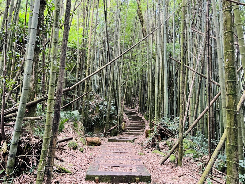 dadong4820 阿里山-大凍山 外掛頂湖步道 登頂展望佳