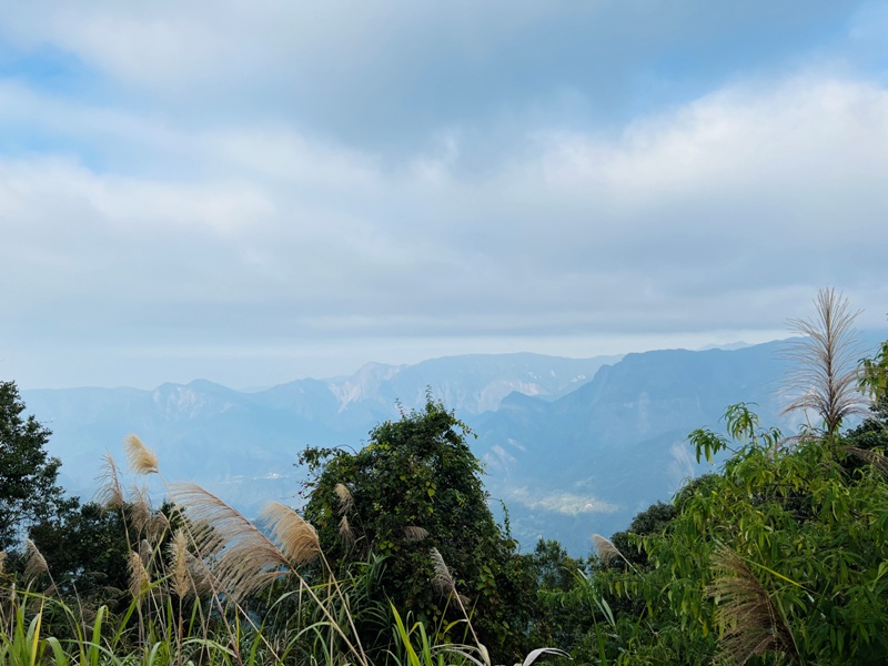 dadong4825 阿里山-大凍山 外掛頂湖步道 登頂展望佳