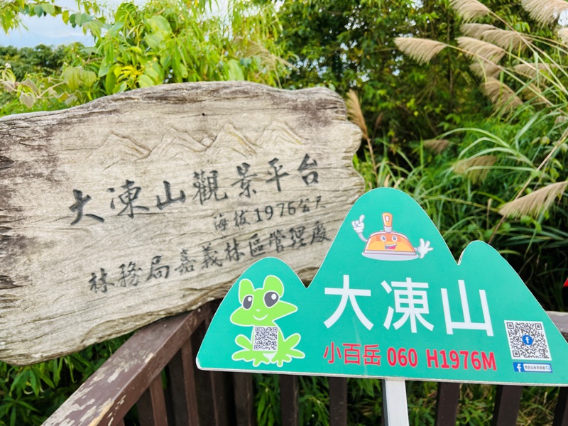 dadong4826 阿里山-大凍山 外掛頂湖步道 登頂展望佳