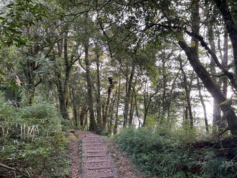 dadong4835 阿里山-大凍山 外掛頂湖步道 登頂展望佳