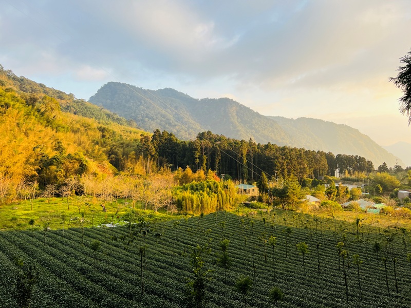 dadong4841 阿里山-大凍山 外掛頂湖步道 登頂展望佳