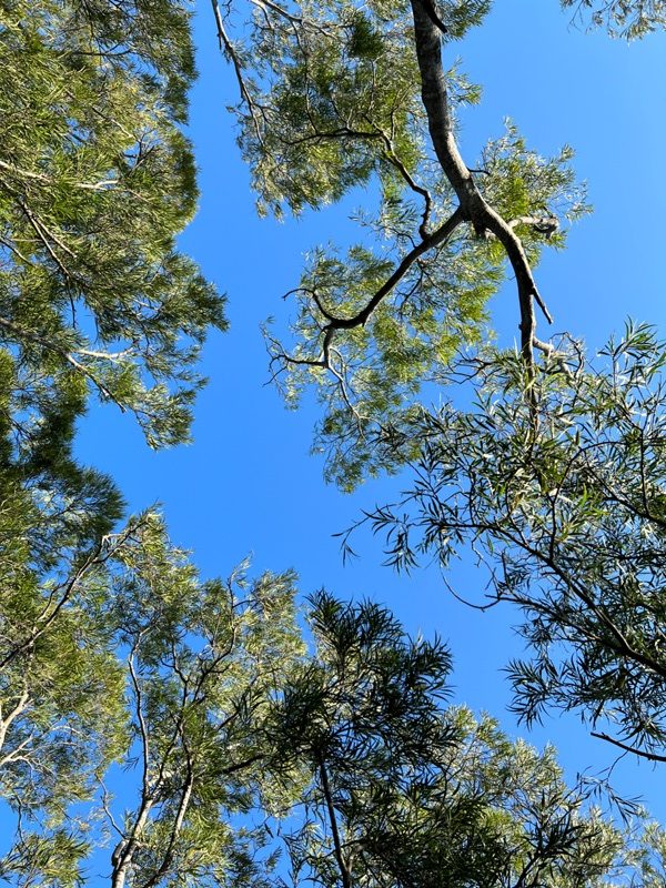 fengqi24-rotated 新豐-鳳崎落日步道 走一個輕鬆自在天涼好個秋