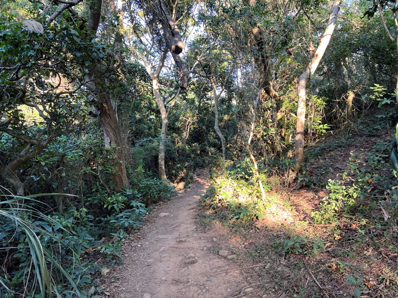 fengqi37 新豐-鳳崎落日步道 走一個輕鬆自在天涼好個秋