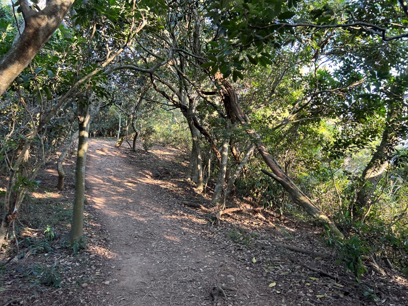 fengqi38 新豐-鳳崎落日步道 走一個輕鬆自在天涼好個秋