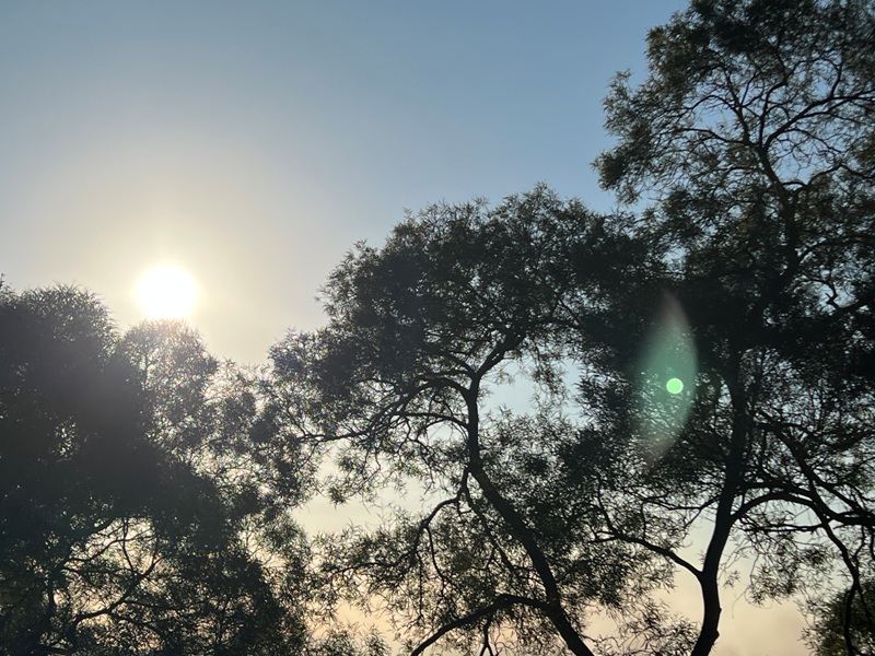 fengqi44 新豐-鳳崎落日步道 走一個輕鬆自在天涼好個秋