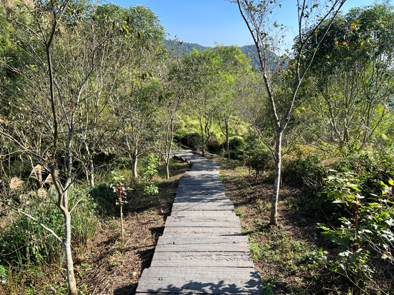 tapingsuspension18 梅山-太平雲梯+雲之南道+孝子路 輕鬆健康拍美照賞美景