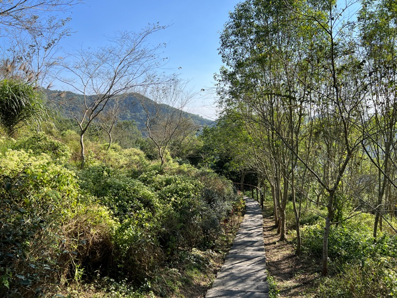 tapingsuspension19 梅山-太平雲梯+雲之南道+孝子路 輕鬆健康拍美照賞美景