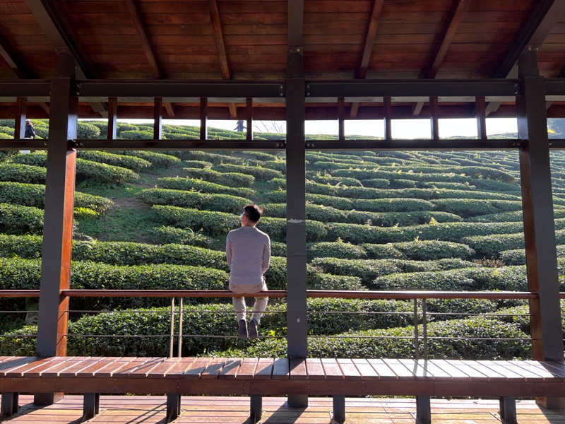 tapingsuspension25 梅山-太平雲梯+雲之南道+孝子路 輕鬆健康拍美照賞美景