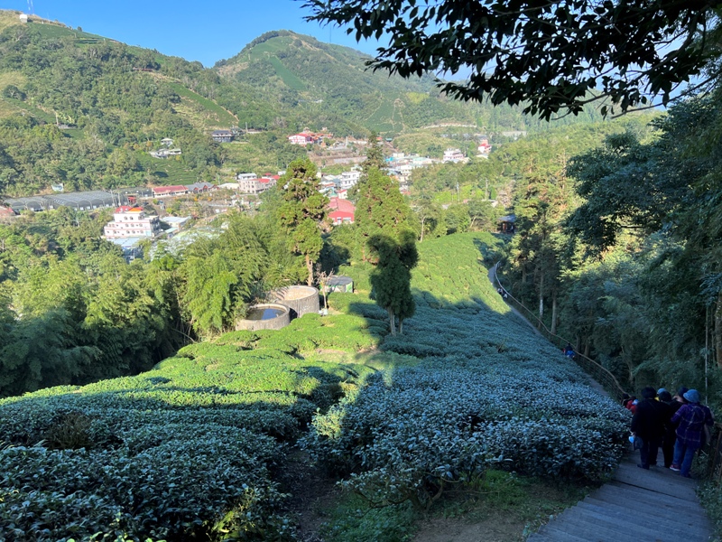 tapingsuspension28 梅山-太平雲梯+雲之南道+孝子路 輕鬆健康拍美照賞美景