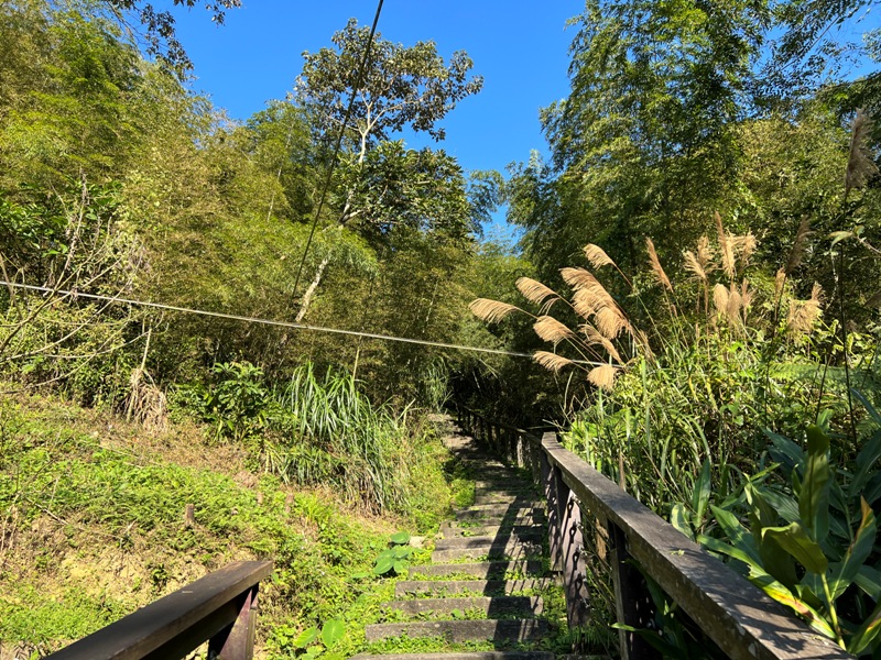 tapingsuspension31 梅山-太平雲梯+雲之南道+孝子路 輕鬆健康拍美照賞美景