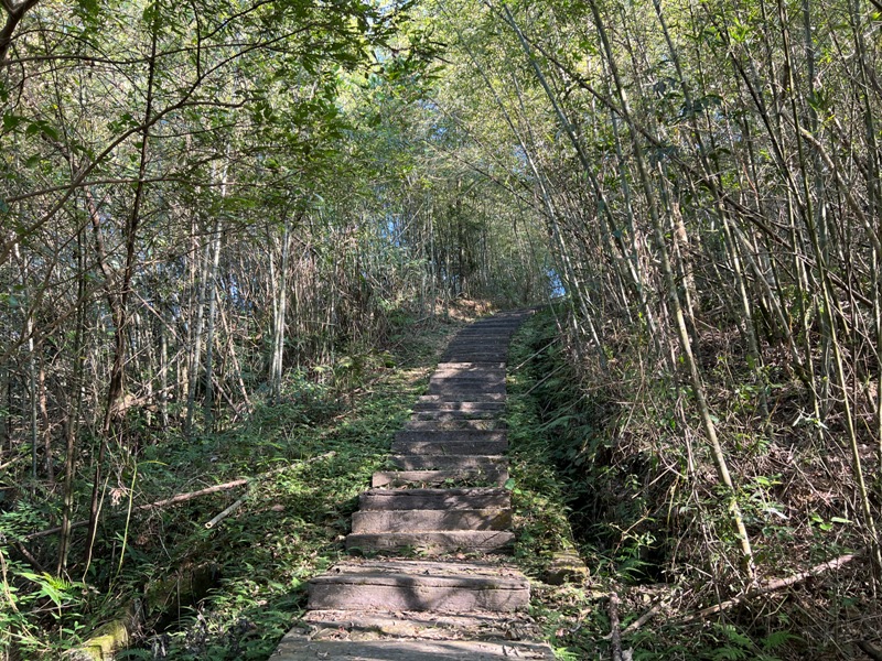 tapingsuspension32 梅山-太平雲梯+雲之南道+孝子路 輕鬆健康拍美照賞美景