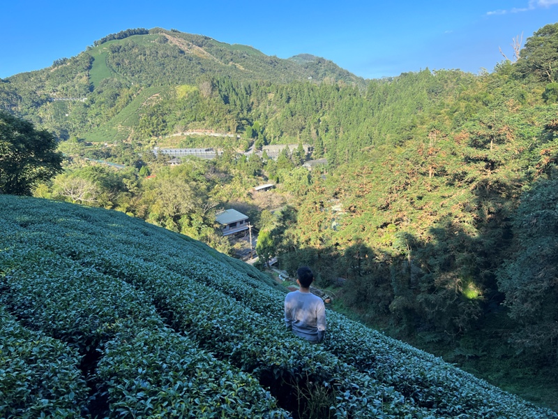 tapingsuspension33 梅山-太平雲梯+雲之南道+孝子路 輕鬆健康拍美照賞美景