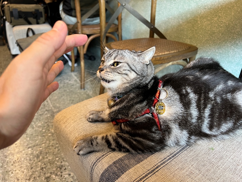 treasureofjoy11 頭城-兌藏 頭城老街 藝文風的老宅咖啡