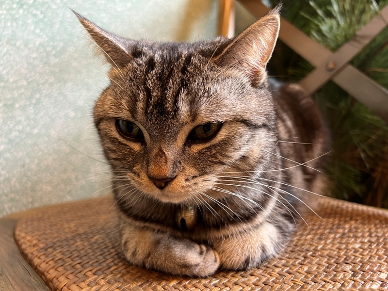 treasureofjoy13 頭城-兌藏 頭城老街 藝文風的老宅咖啡