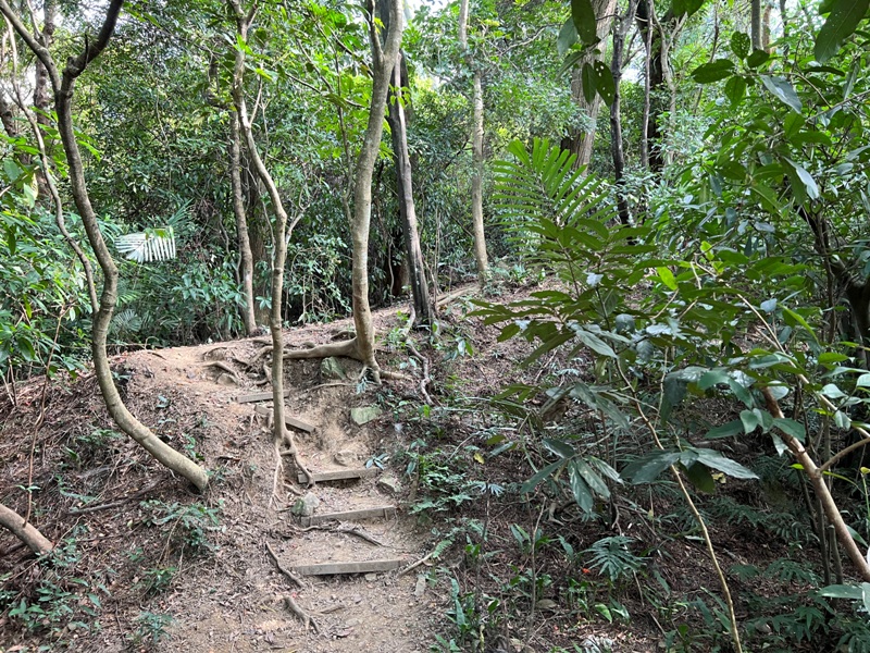 xichou03 大溪-溪州山 登小百岳眺望石門水庫景緻