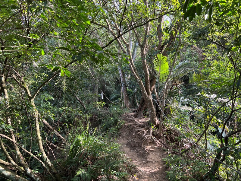 xichou06 大溪-溪州山 登小百岳眺望石門水庫景緻