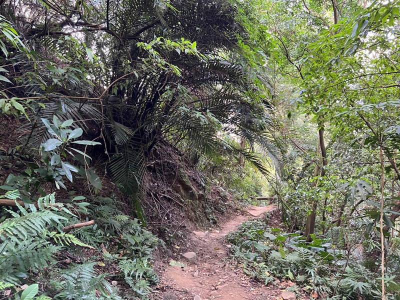 xichou08 大溪-溪州山 登小百岳眺望石門水庫景緻