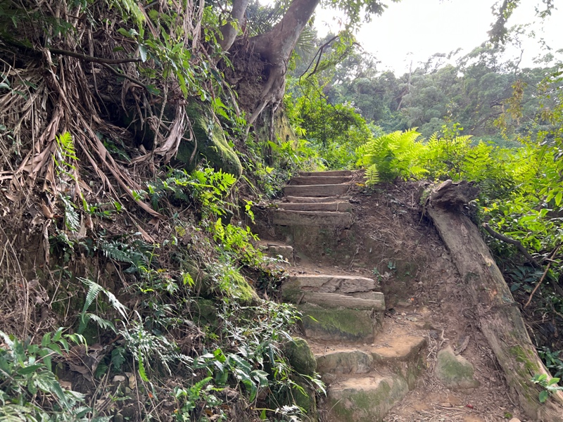 xichou10 大溪-溪州山 登小百岳眺望石門水庫景緻