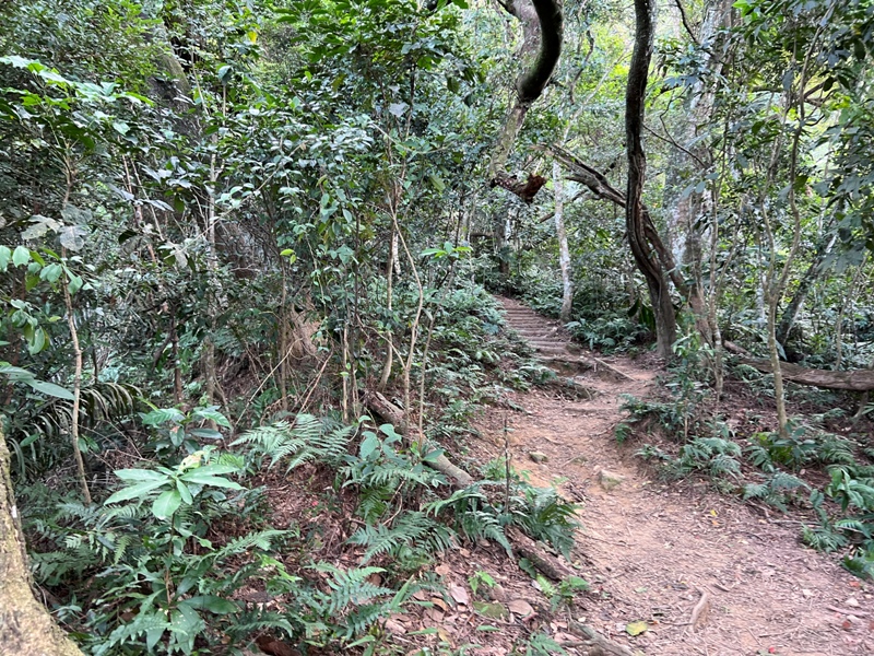 xichou11 大溪-溪州山 登小百岳眺望石門水庫景緻