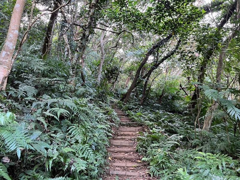 xichou14 大溪-溪州山 登小百岳眺望石門水庫景緻