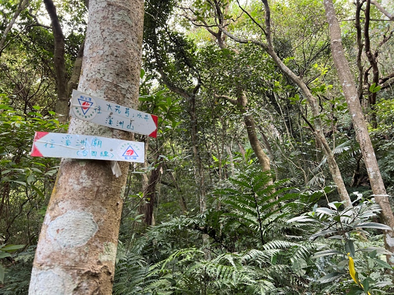 xichou15 大溪-溪州山 登小百岳眺望石門水庫景緻