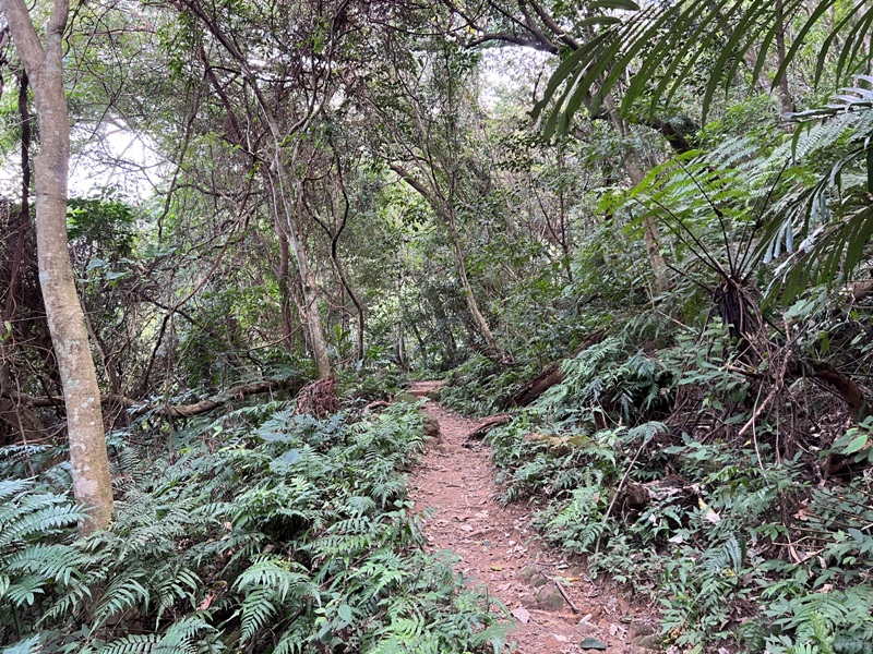 xichou16 大溪-溪州山 登小百岳眺望石門水庫景緻