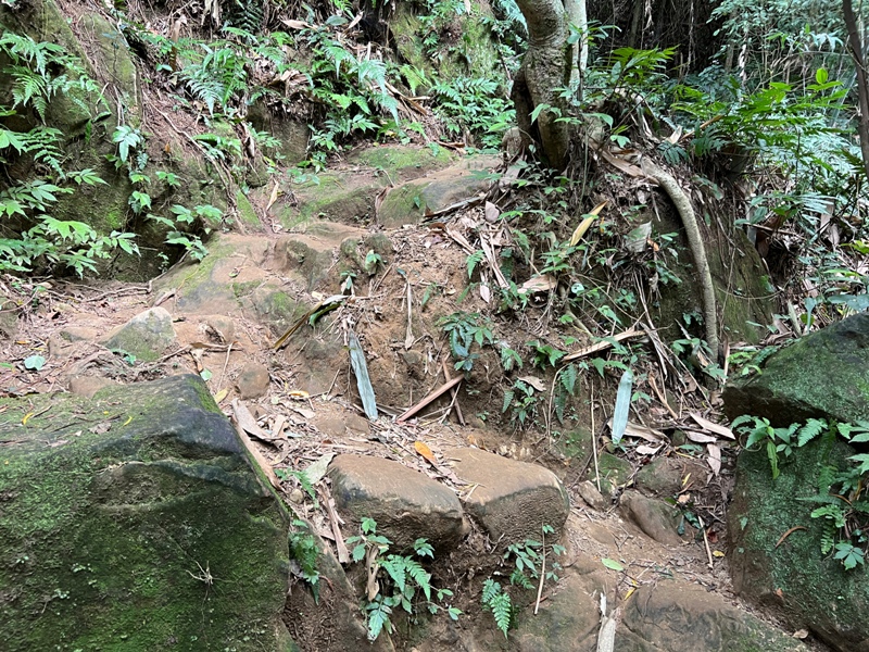 xichou17 大溪-溪州山 登小百岳眺望石門水庫景緻