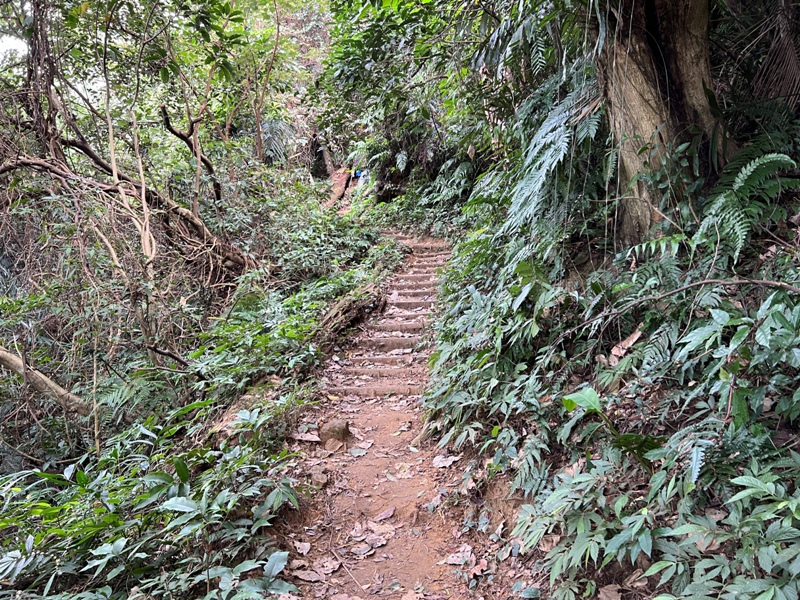 xichou18 大溪-溪州山 登小百岳眺望石門水庫景緻