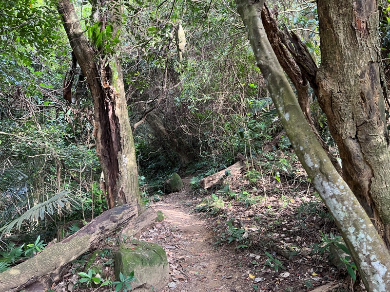 xichou21 大溪-溪州山 登小百岳眺望石門水庫景緻