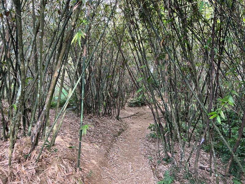 xichou25 大溪-溪州山 登小百岳眺望石門水庫景緻