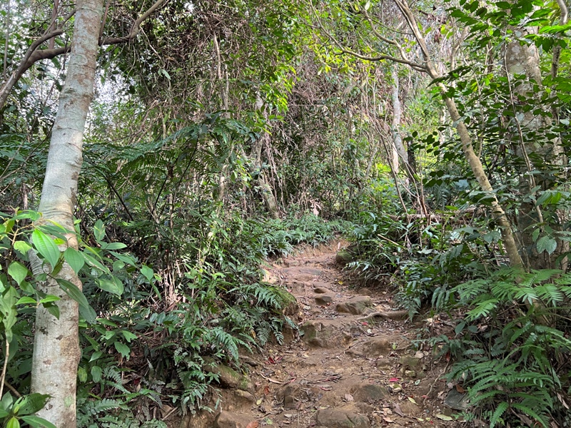 xichou26 大溪-溪州山 登小百岳眺望石門水庫景緻