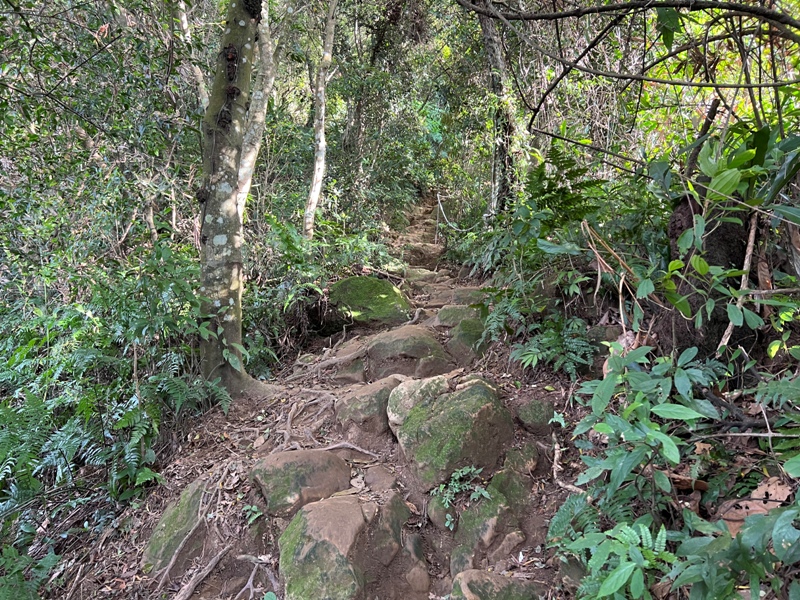 xichou29 大溪-溪州山 登小百岳眺望石門水庫景緻
