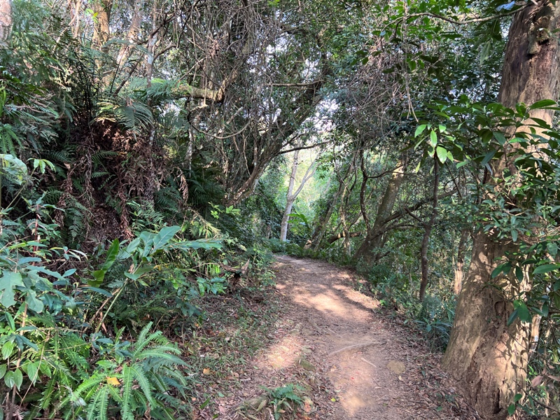 xichou34 大溪-溪州山 登小百岳眺望石門水庫景緻