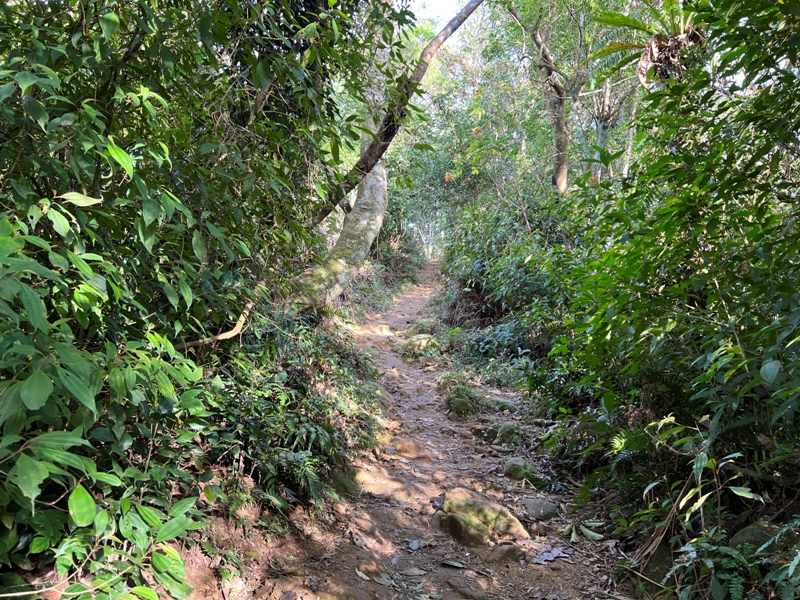 xichou35 大溪-溪州山 登小百岳眺望石門水庫景緻