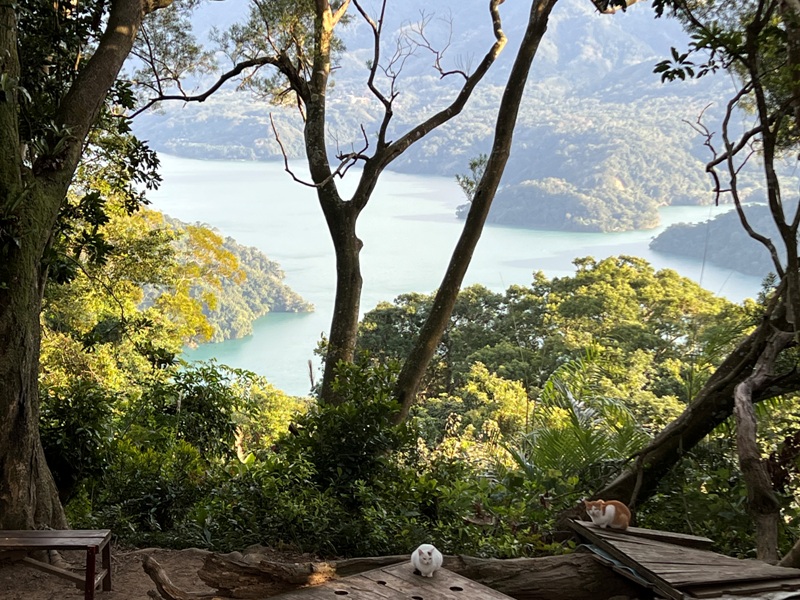 xichou40 大溪-溪州山 登小百岳眺望石門水庫景緻