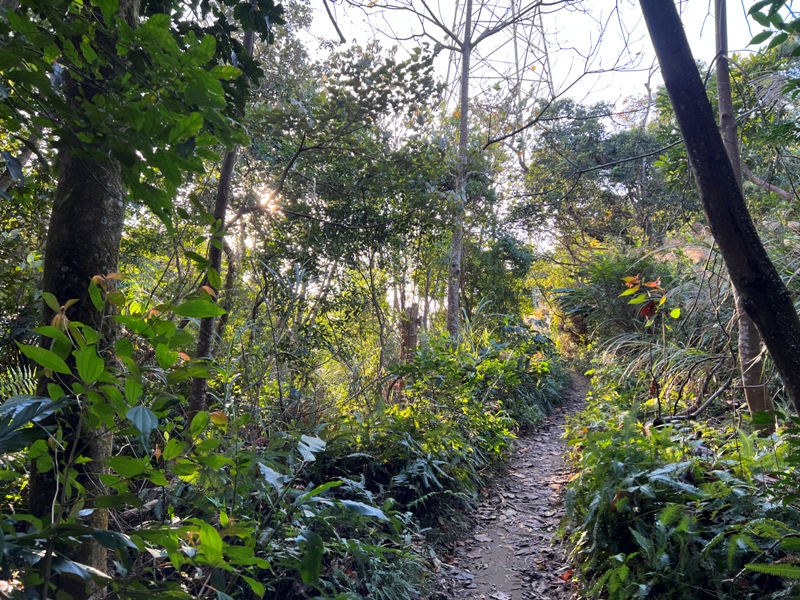 xichou44 大溪-溪州山 登小百岳眺望石門水庫景緻