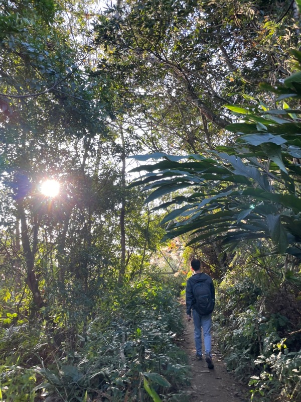 xichou45 大溪-溪州山 登小百岳眺望石門水庫景緻