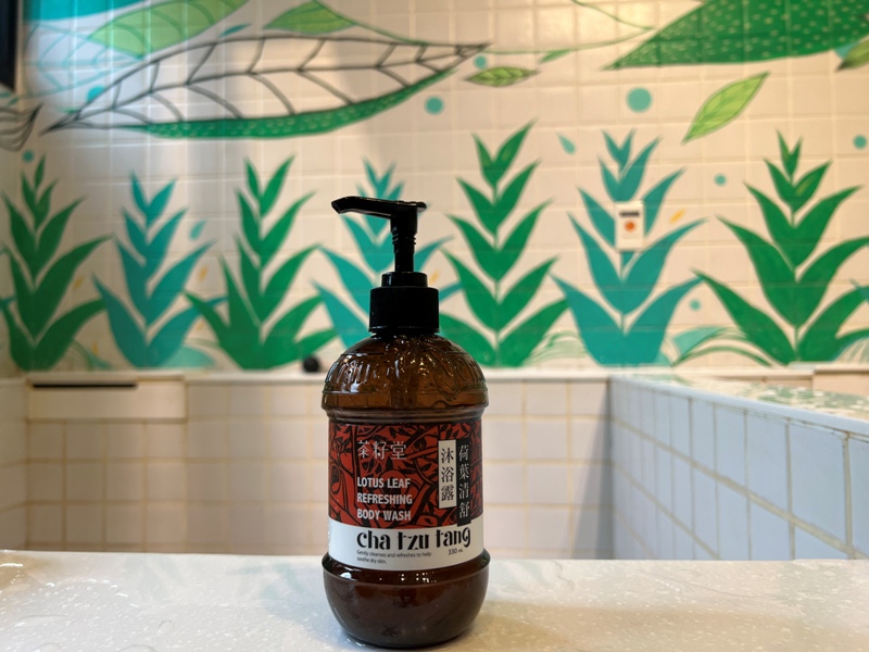 yilanonionspring0120013522 礁溪-蔥澡 與黃色小鴨悠游的療癒設計湯屋