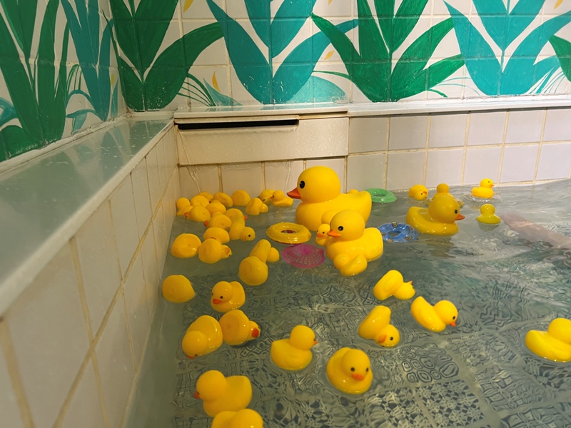 yilanonionspring0120013524 礁溪-蔥澡 與黃色小鴨悠游的療癒設計湯屋